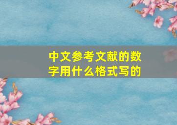 中文参考文献的数字用什么格式写的