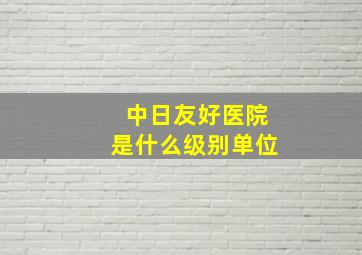 中日友好医院是什么级别单位