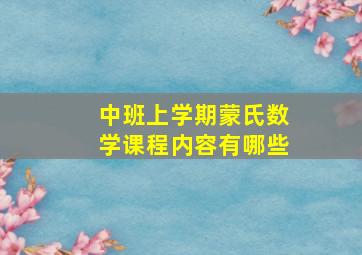 中班上学期蒙氏数学课程内容有哪些