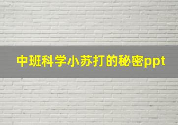 中班科学小苏打的秘密ppt