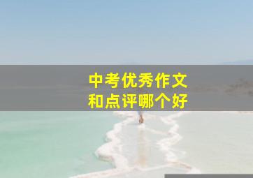 中考优秀作文和点评哪个好