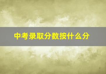 中考录取分数按什么分