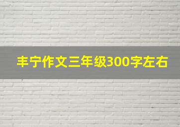 丰宁作文三年级300字左右