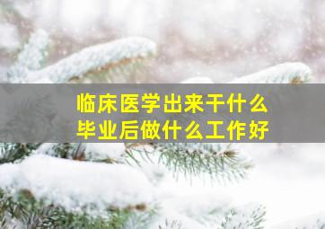 临床医学出来干什么毕业后做什么工作好