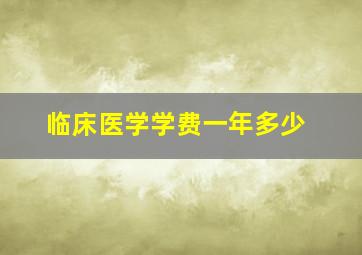 临床医学学费一年多少