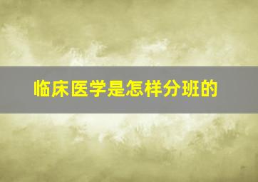 临床医学是怎样分班的