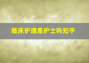 临床护理是护士吗知乎