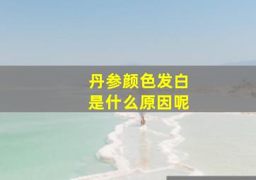 丹参颜色发白是什么原因呢