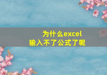 为什么excel输入不了公式了呢