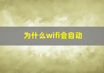 为什么wifi会自动