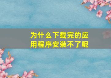 为什么下载完的应用程序安装不了呢