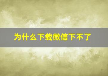 为什么下载微信下不了