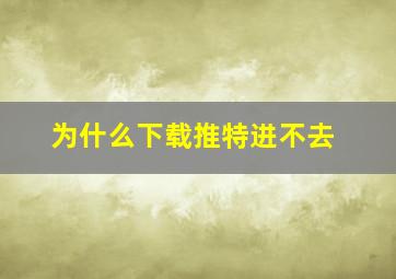 为什么下载推特进不去