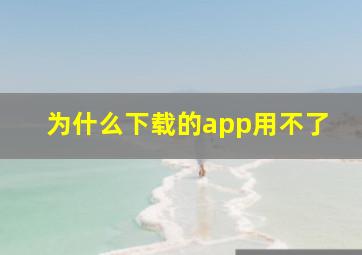 为什么下载的app用不了