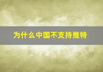 为什么中国不支持推特