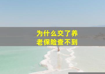 为什么交了养老保险查不到