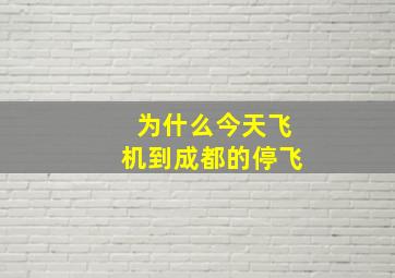 为什么今天飞机到成都的停飞