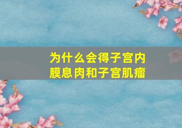 为什么会得子宫内膜息肉和子宫肌瘤