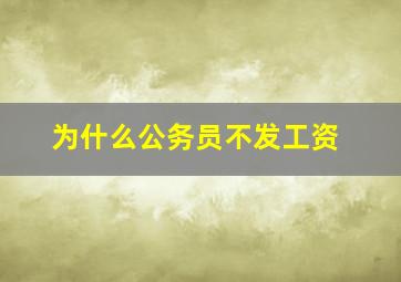 为什么公务员不发工资