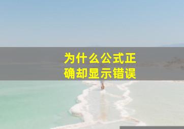 为什么公式正确却显示错误