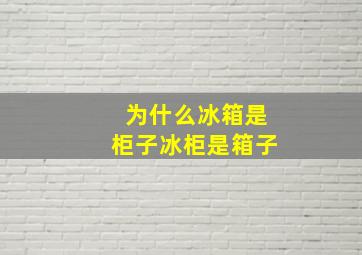 为什么冰箱是柜子冰柜是箱子