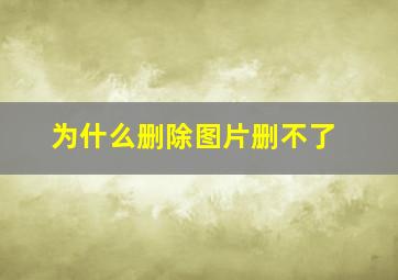 为什么删除图片删不了