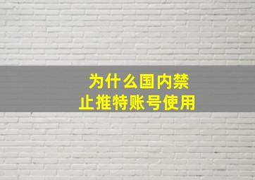 为什么国内禁止推特账号使用