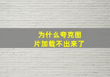 为什么夸克图片加载不出来了