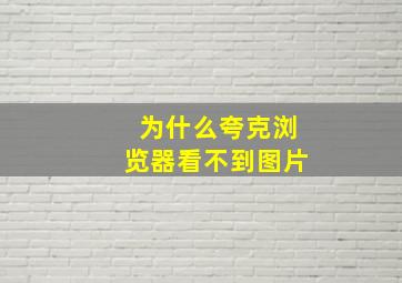 为什么夸克浏览器看不到图片