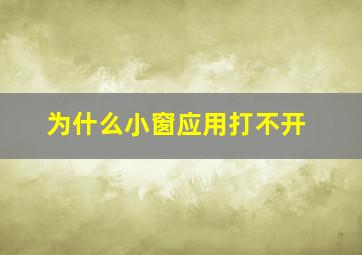 为什么小窗应用打不开