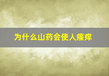 为什么山药会使人瘙痒