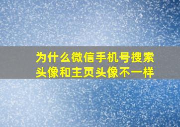 为什么微信手机号搜索头像和主页头像不一样