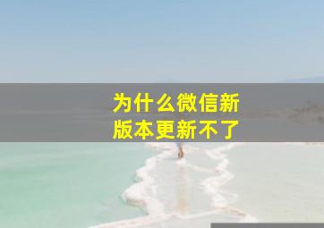 为什么微信新版本更新不了