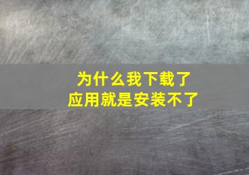 为什么我下载了应用就是安装不了