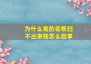 为什么我的花呗扫不出来钱怎么回事