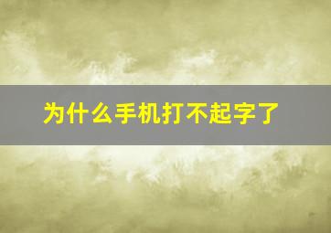 为什么手机打不起字了