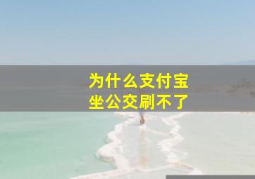 为什么支付宝坐公交刷不了