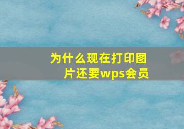 为什么现在打印图片还要wps会员