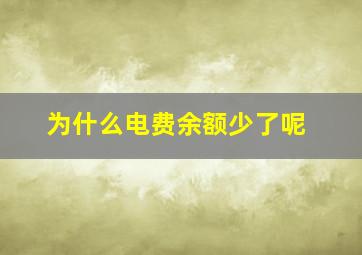 为什么电费余额少了呢