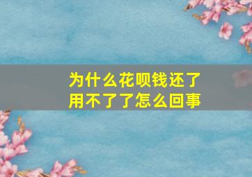 为什么花呗钱还了用不了了怎么回事