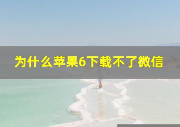 为什么苹果6下载不了微信