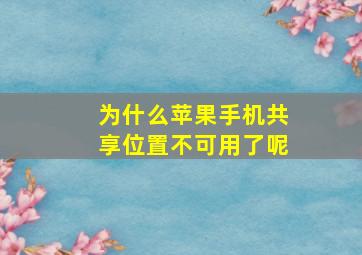 为什么苹果手机共享位置不可用了呢