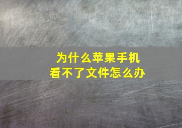 为什么苹果手机看不了文件怎么办