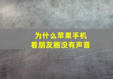 为什么苹果手机看朋友圈没有声音