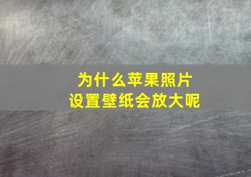 为什么苹果照片设置壁纸会放大呢