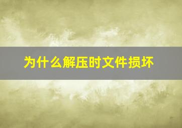 为什么解压时文件损坏