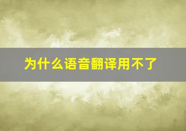 为什么语音翻译用不了