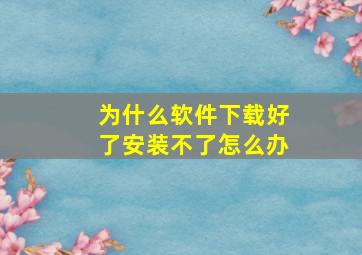 为什么软件下载好了安装不了怎么办