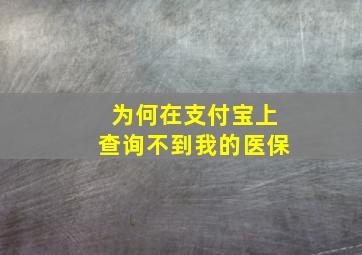 为何在支付宝上查询不到我的医保