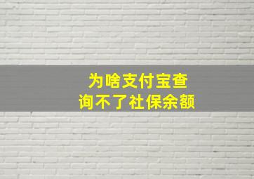 为啥支付宝查询不了社保余额